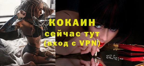 индика Алексеевка